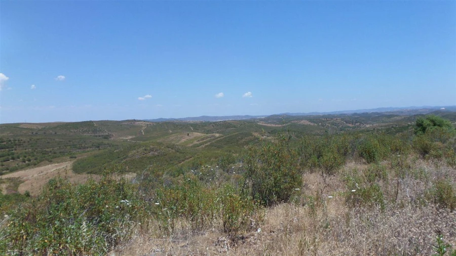 Terreno Agricola ou Rústico para Venda em Alcoutim e Pereiro Foto 10