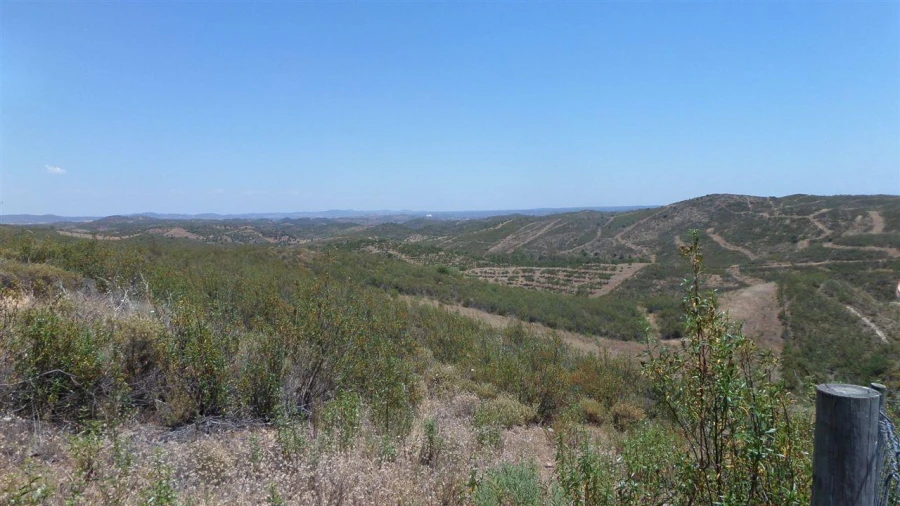 Terreno Agricola ou Rústico para Venda em Alcoutim e Pereiro Foto 4