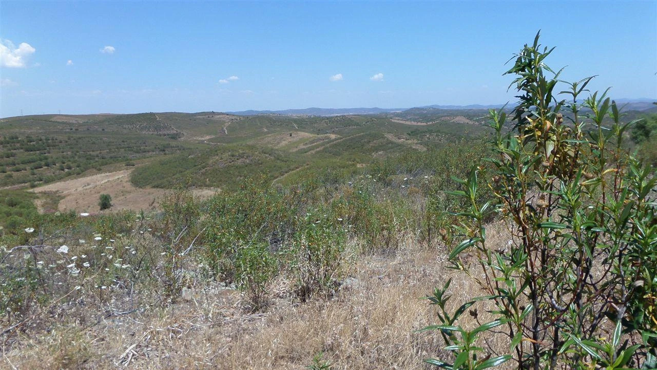 Terreno Agricola ou Rústico para Venda em Alcoutim e Pereiro Foto 8