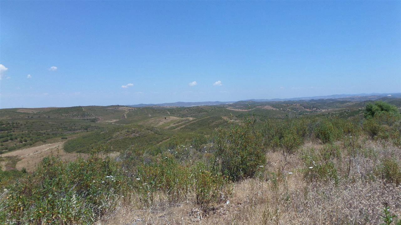 Terreno Agricola ou Rústico para Venda em Alcoutim e Pereiro Foto 10