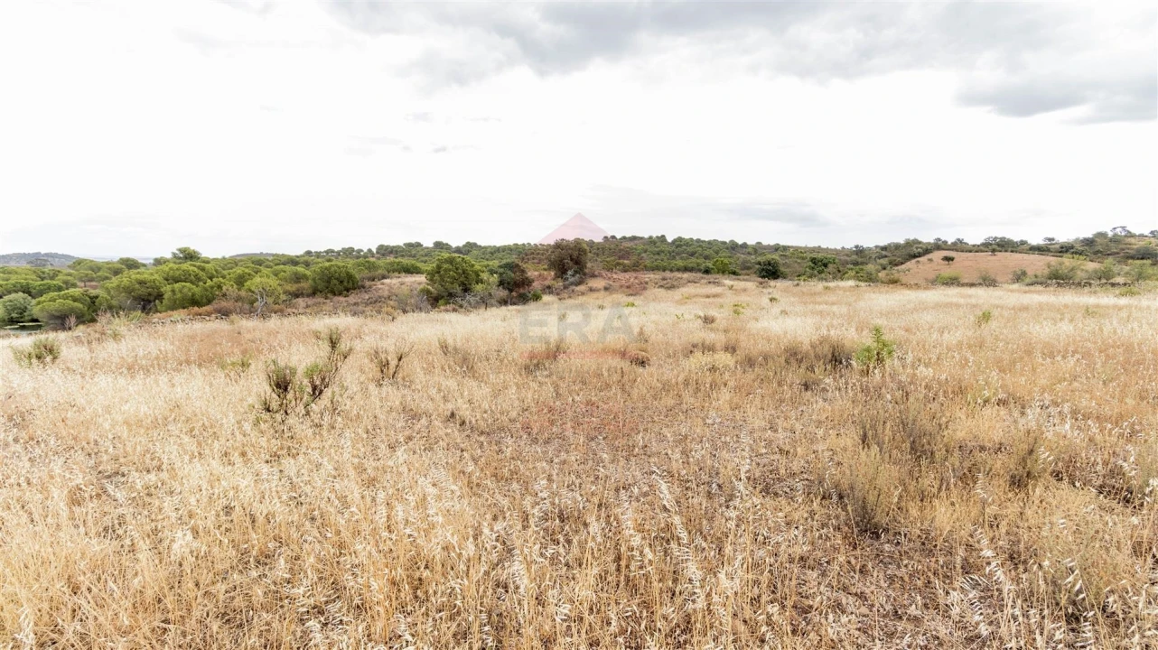 Terreno Agricola ou Rústico para Venda em Vaqueiros Foto 2