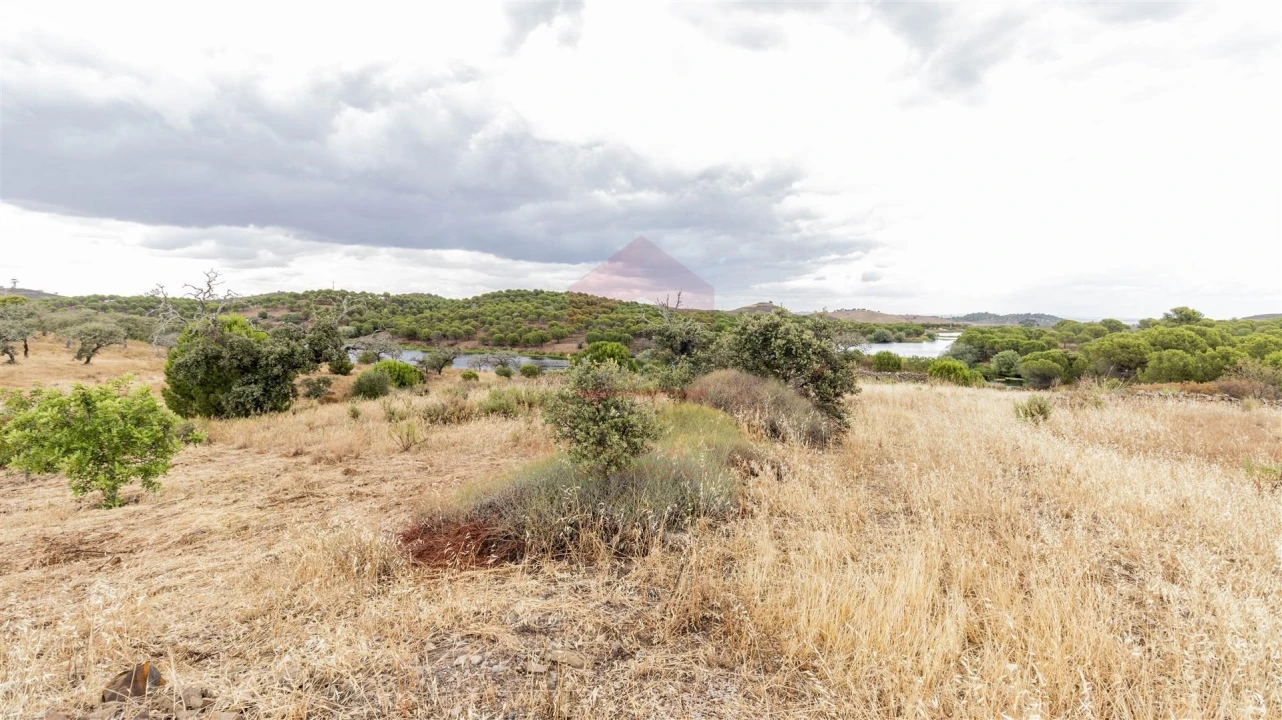 Terreno Agricola ou Rústico para Venda em Vaqueiros Foto 3