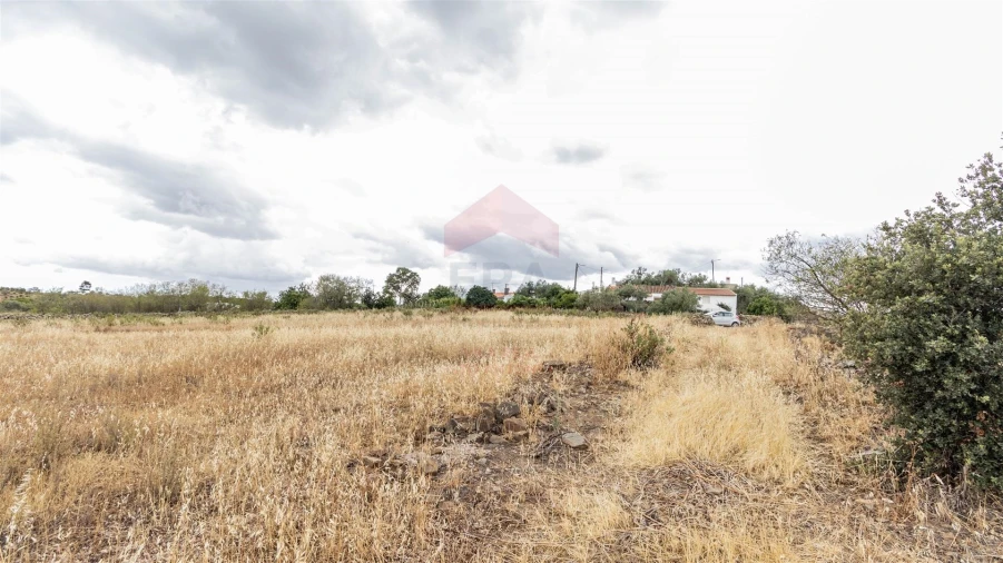 Terreno Agricola ou Rústico para Venda em Vaqueiros Foto 4