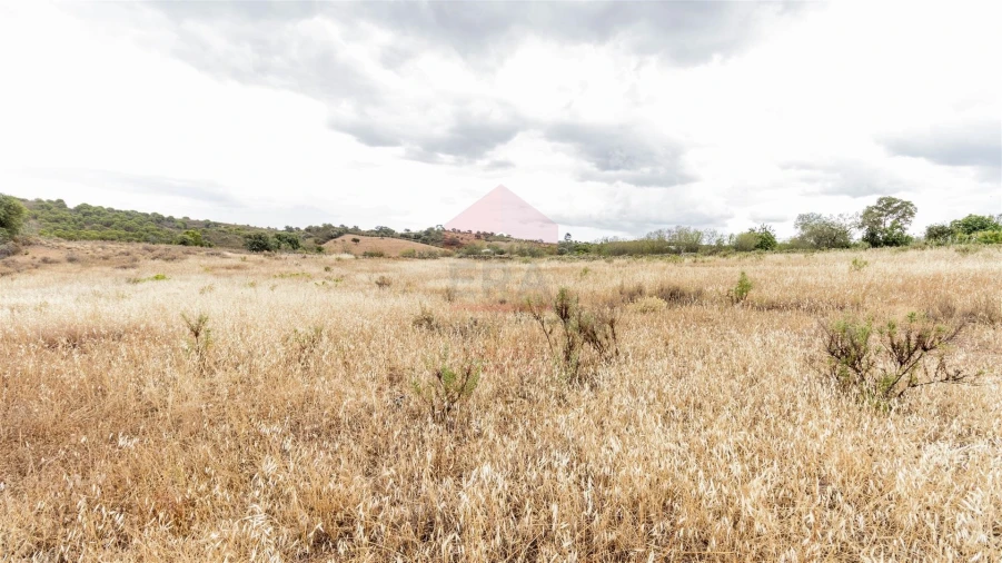 Terreno Agricola ou Rústico para Venda em Vaqueiros Foto 5