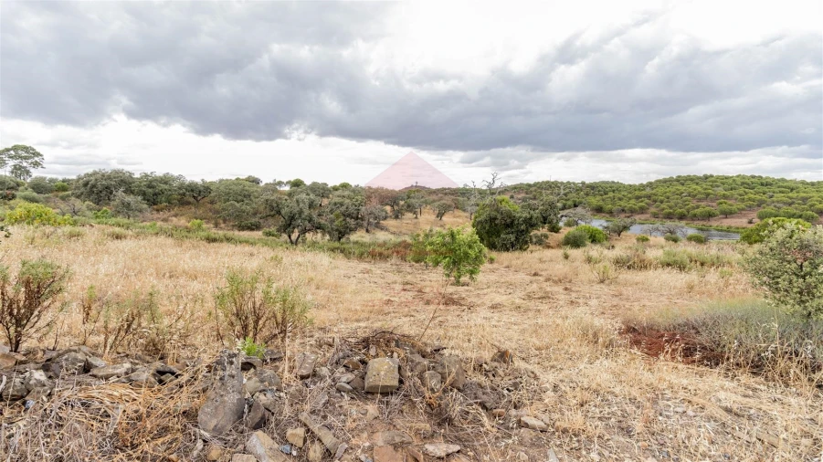 Terreno Agricola ou Rústico para Venda em Vaqueiros Foto 1