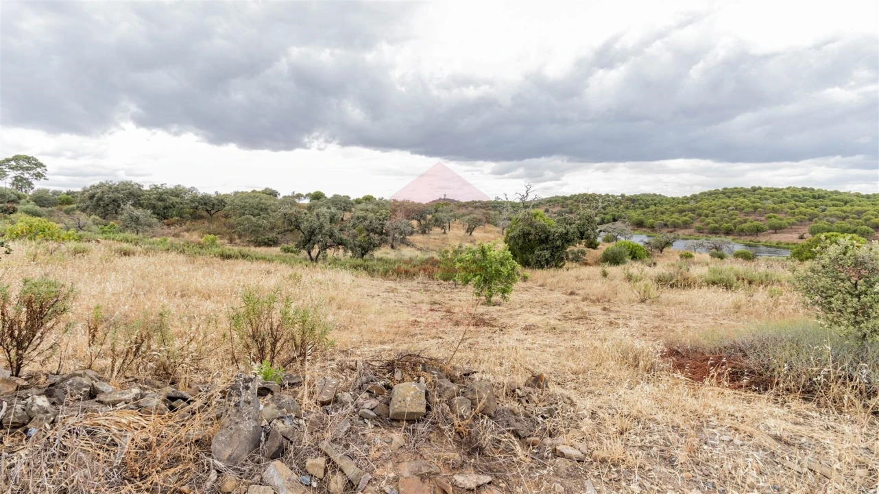 Terreno Agricola ou Rústico para Venda em Vaqueiros Foto 1