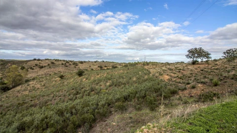Terreno Agricola ou Rústico para Venda em Odeleite
