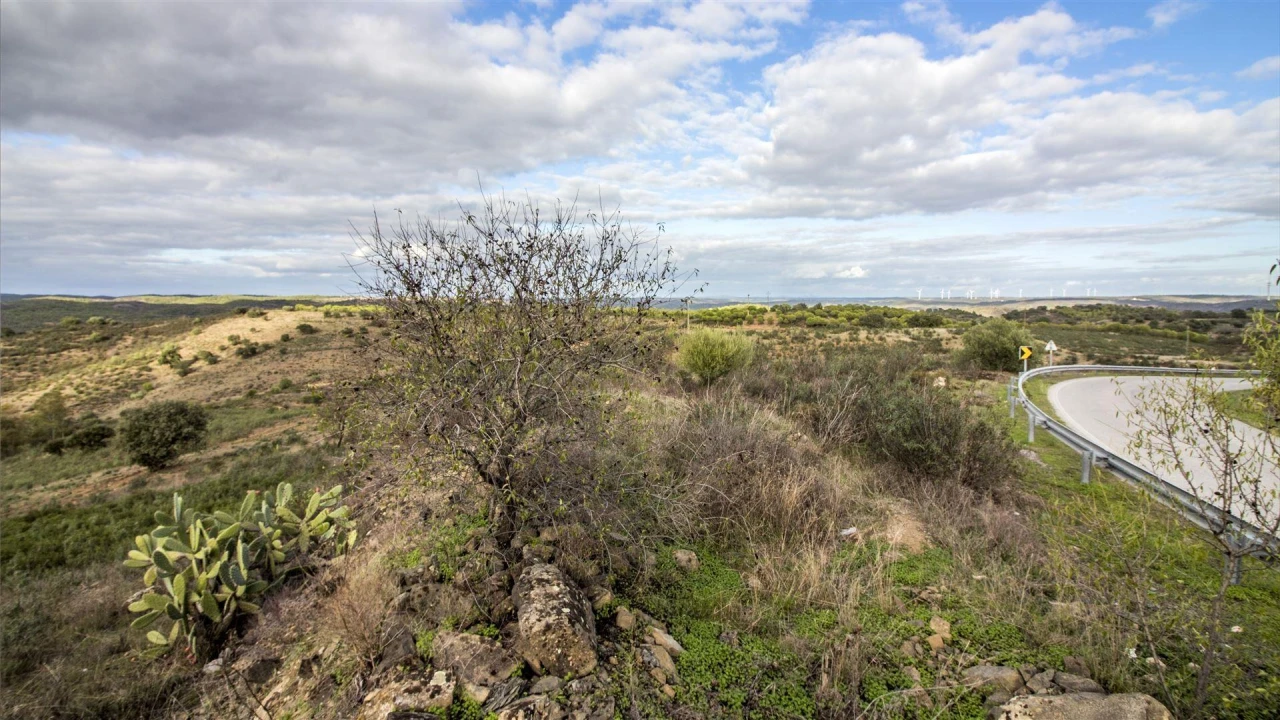 Terreno Agricola ou Rústico para Venda em Odeleite Foto 2