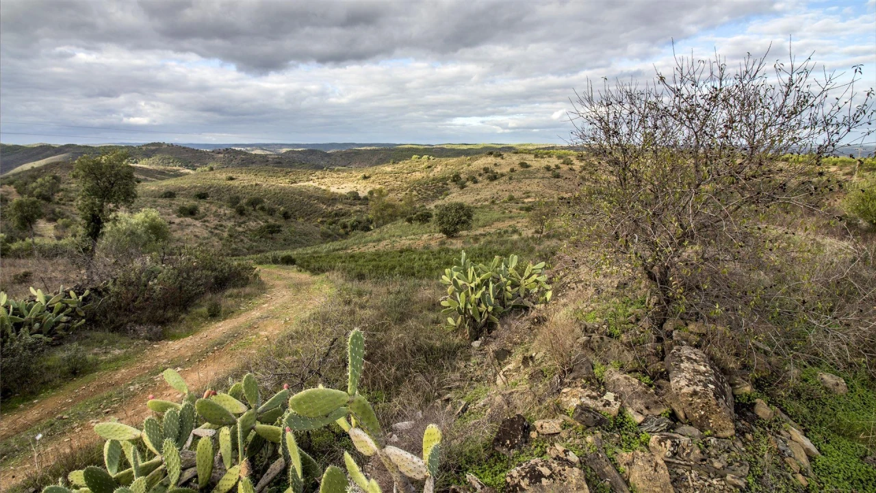 Terreno Agricola ou Rústico para Venda em Odeleite Foto 1