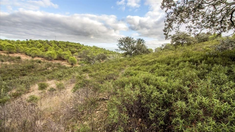 Terreno Agricola ou Rústico para Venda em Odeleite