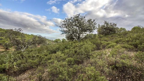 Terreno Agricola ou Rústico para Venda em Odeleite