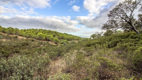 Terreno Agricola ou Rústico para Venda em Odeleite