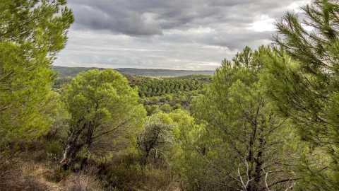 Terreno Agricola ou Rústico para Venda em Odeleite