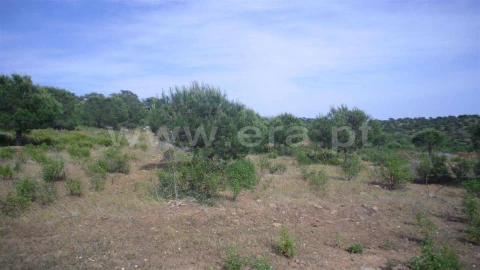 Terreno Agricola ou Rústico para Venda em Odeleite