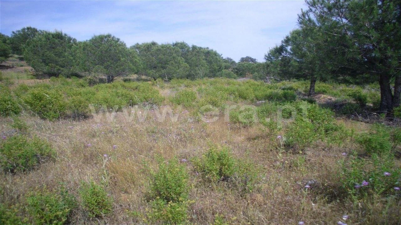 Terreno Agricola ou Rústico para Venda em Odeleite Foto 2