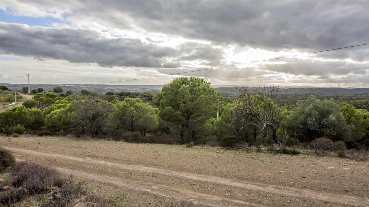Terreno Agricola ou Rústico para Venda em Odeleite Foto 5