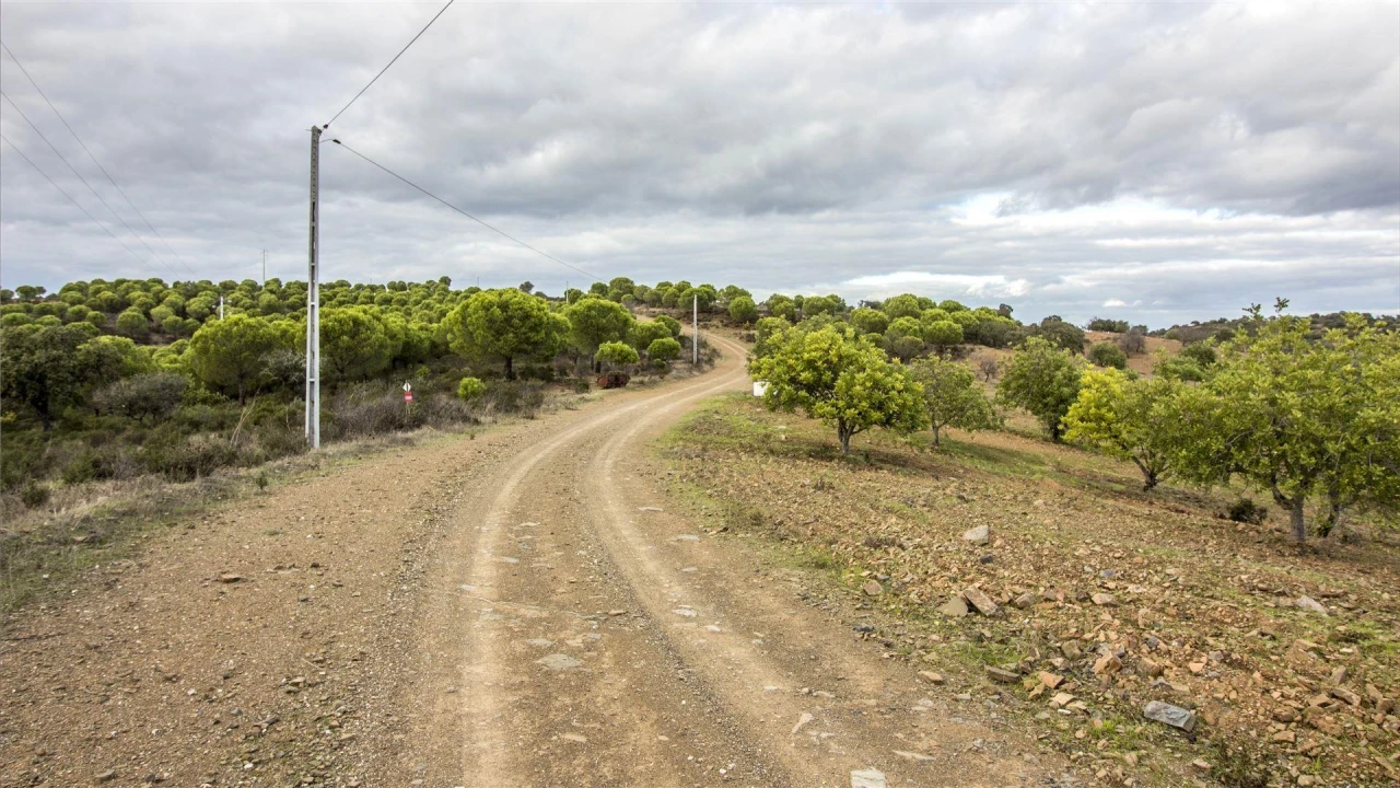 Terreno Agricola ou Rústico para Venda em Odeleite Foto 4