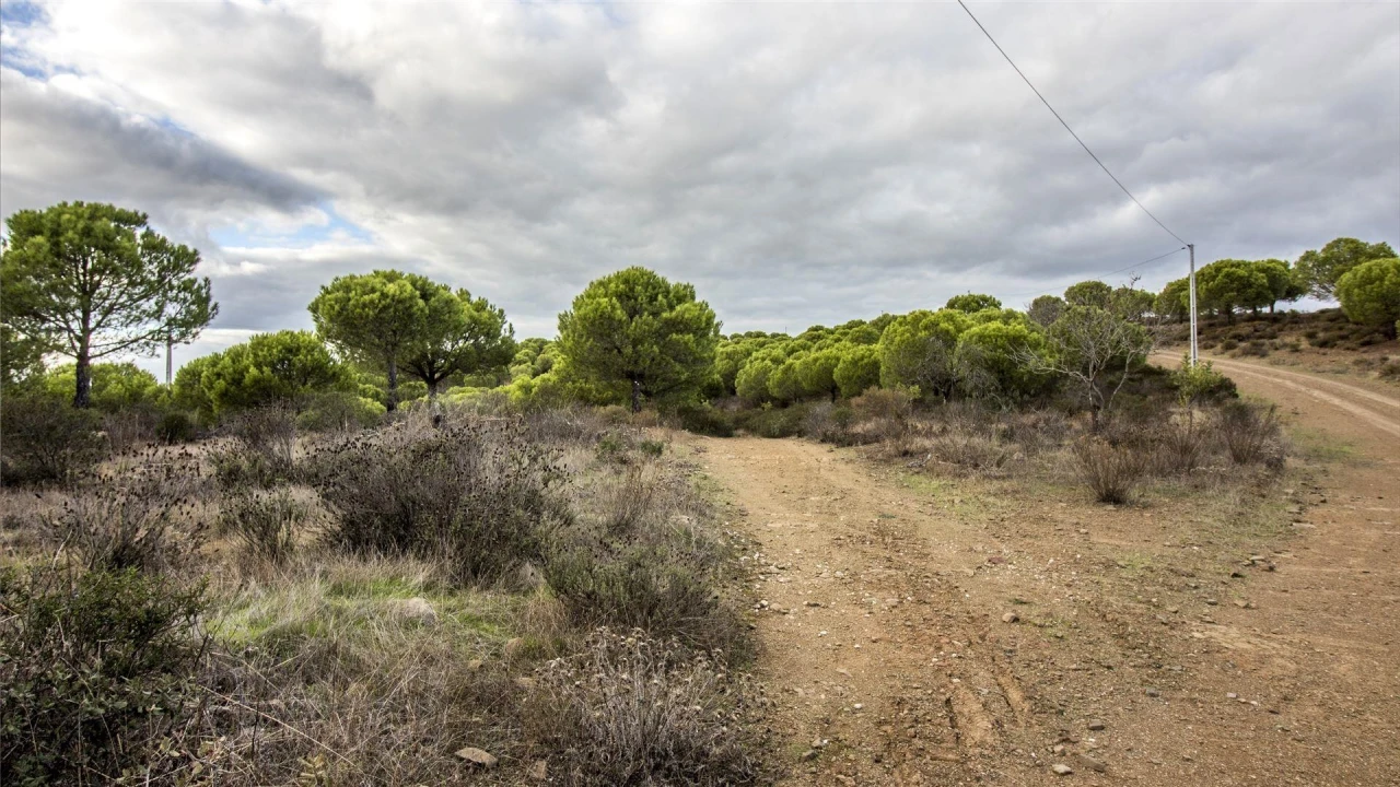 Terreno Agricola ou Rústico para Venda em Odeleite Foto 1