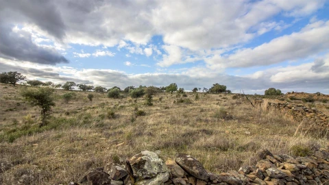 Terreno Agricola ou Rústico para Venda em Odeleite