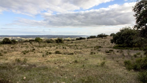 Terreno Agricola ou Rústico para Venda em Odeleite