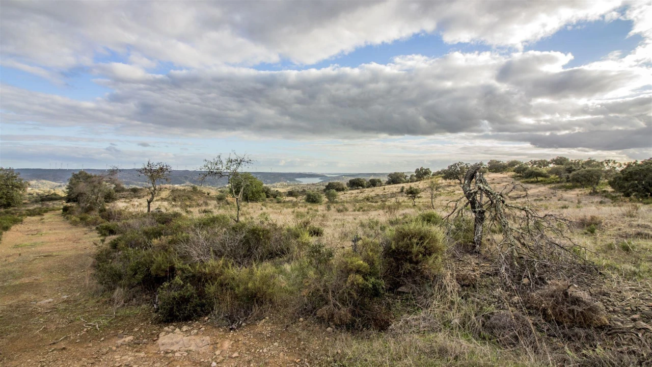 Terreno Agricola ou Rústico para Venda em Odeleite Foto 2