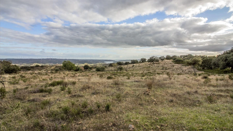 Terreno Agricola ou Rústico para Venda em Odeleite