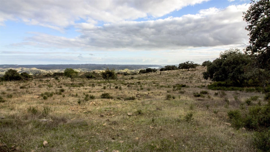 Terreno Agricola ou Rústico para Venda em Odeleite Foto 4