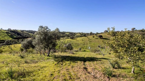 Terreno Agricola ou Rústico para Venda em Castro Marim