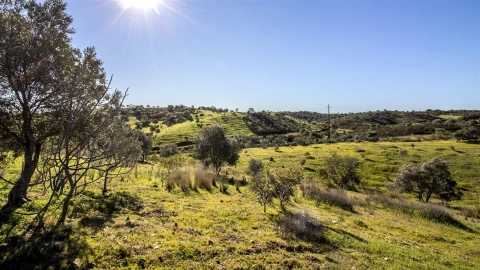Terreno Agricola ou Rústico para Venda em Castro Marim