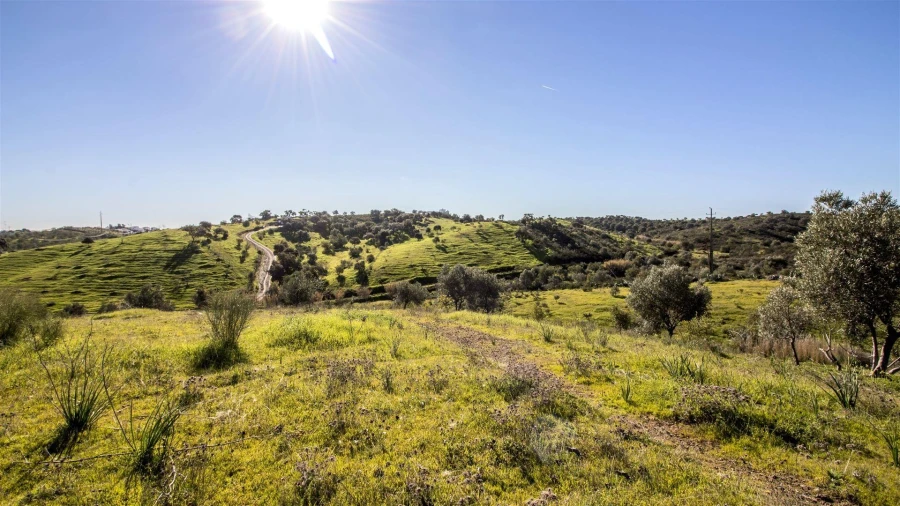 Terreno Agricola ou Rústico para Venda em Castro Marim Foto 2