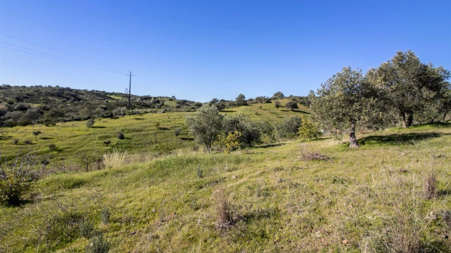 Terreno Agricola ou Rústico para Venda em Castro Marim Foto 4