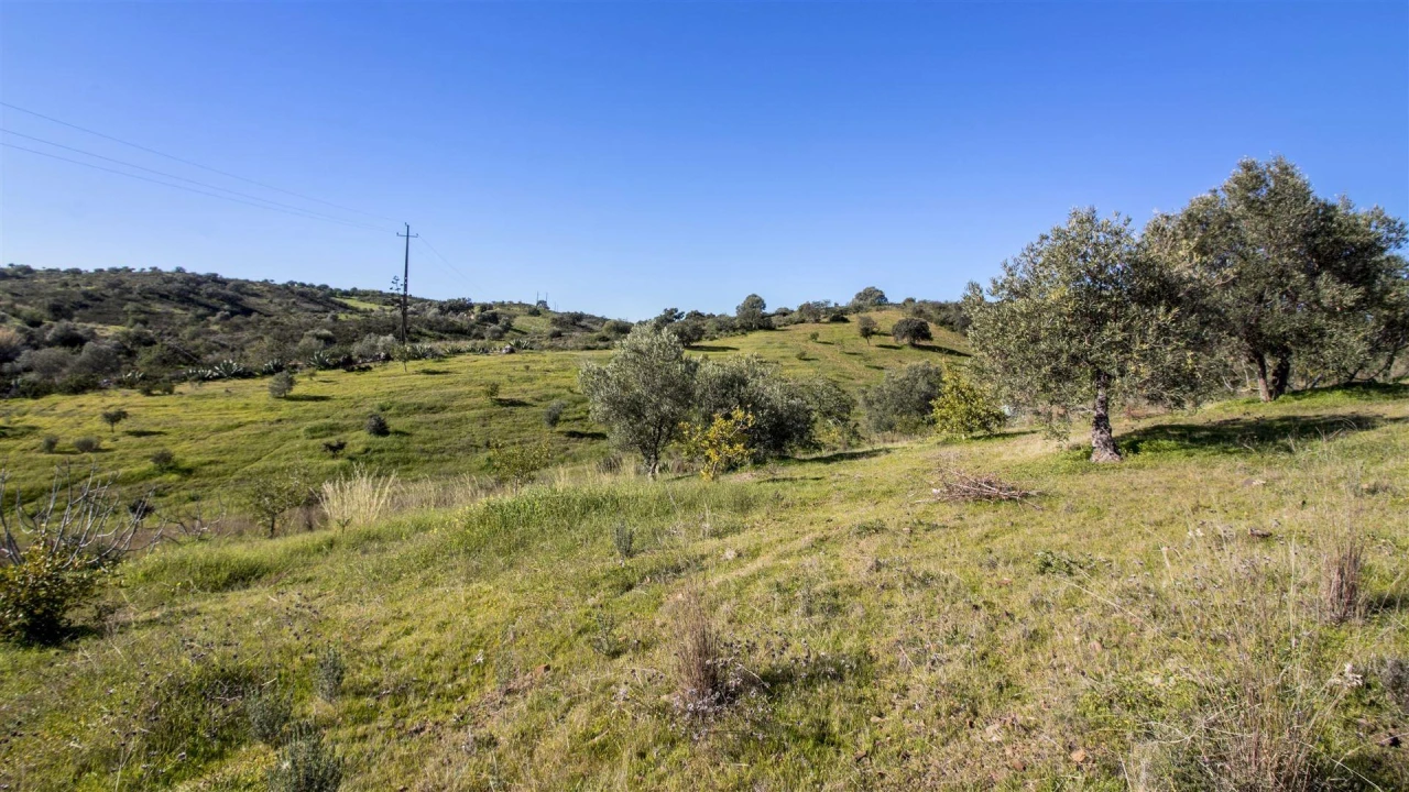 Terreno Agricola ou Rústico para Venda em Castro Marim Foto 4
