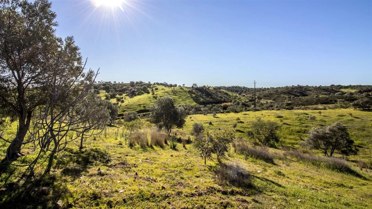 Terreno Agricola ou Rústico para Venda em Castro Marim Foto 6