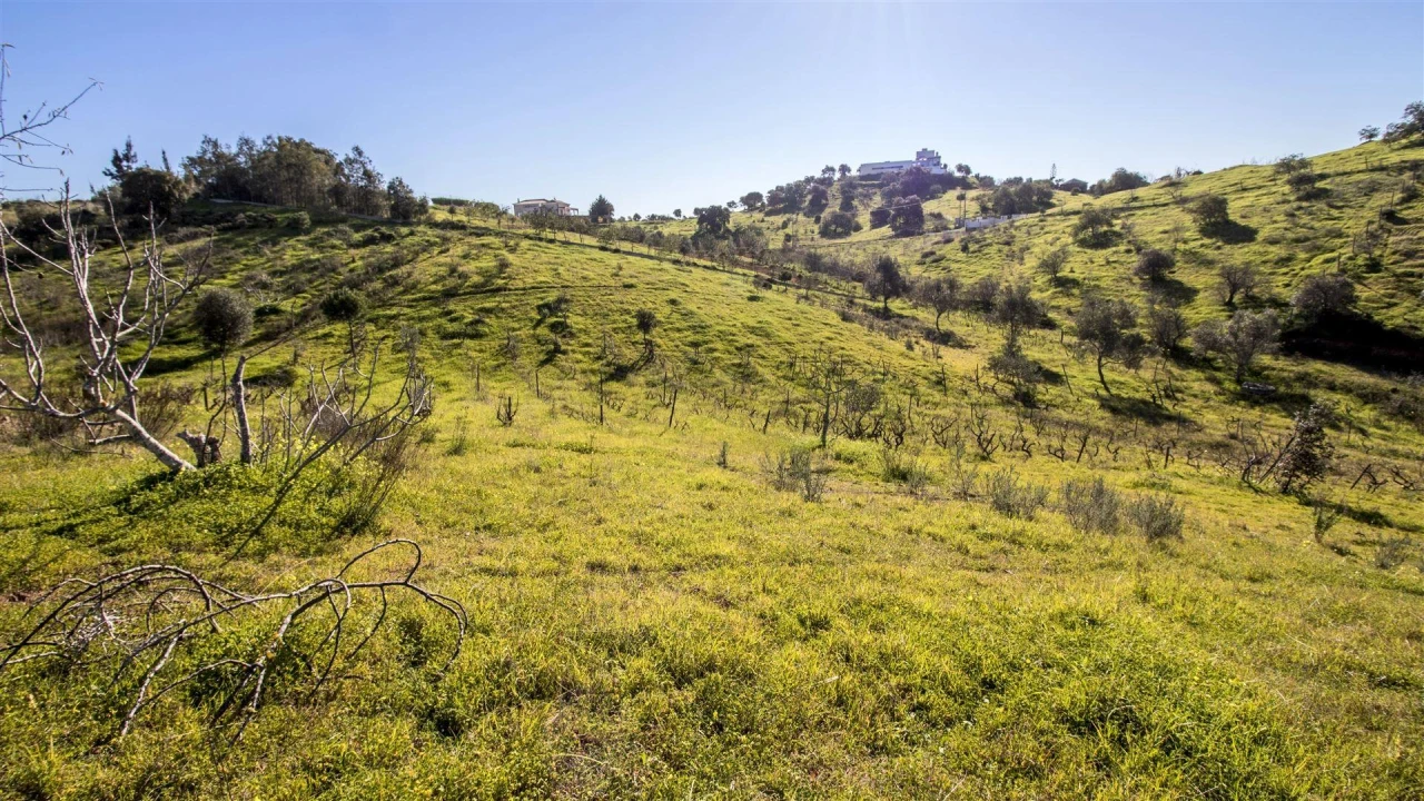 Terreno Agricola ou Rústico para Venda em Castro Marim Foto 4