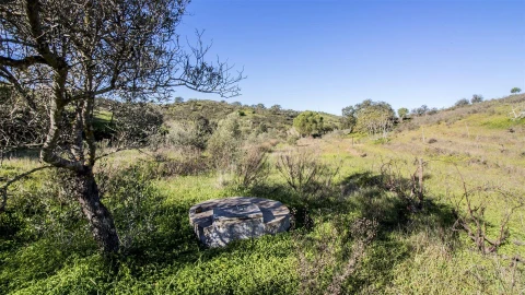Terreno Agricola ou Rústico para Venda em Castro Marim