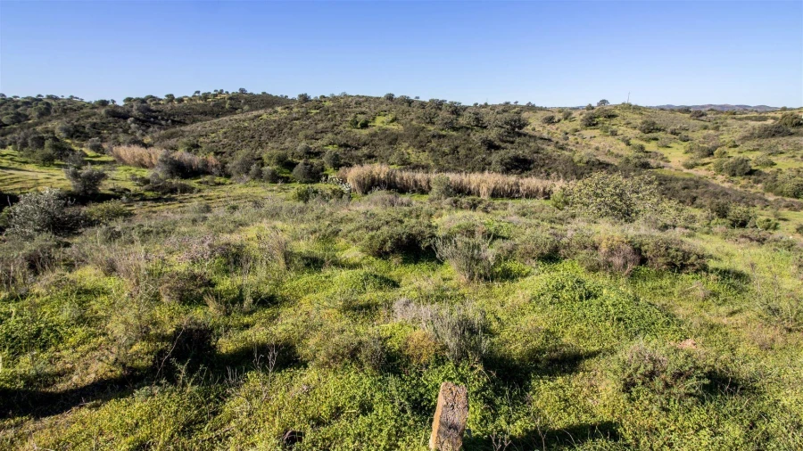 Terreno Agricola ou Rústico para Venda em Castro Marim