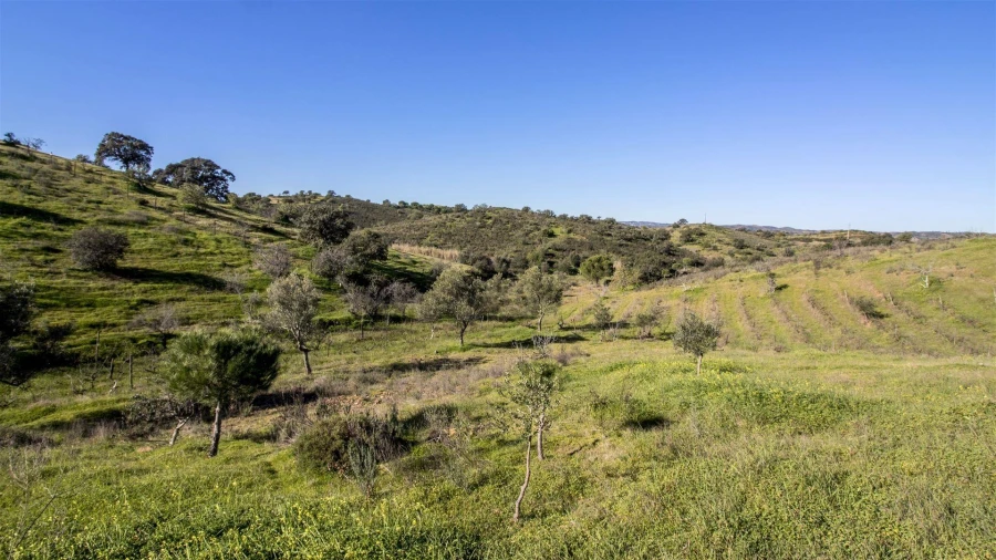 Terreno Agricola ou Rústico para Venda em Castro Marim Foto 5