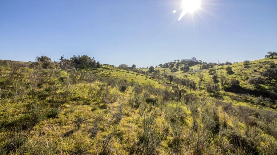 Terreno Agricola ou Rústico para Venda em Castro Marim Foto 2