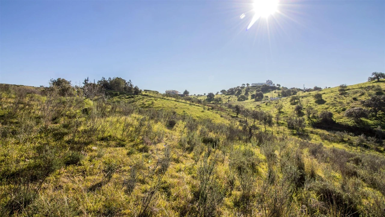 Terreno Agricola ou Rústico para Venda em Castro Marim Foto 2