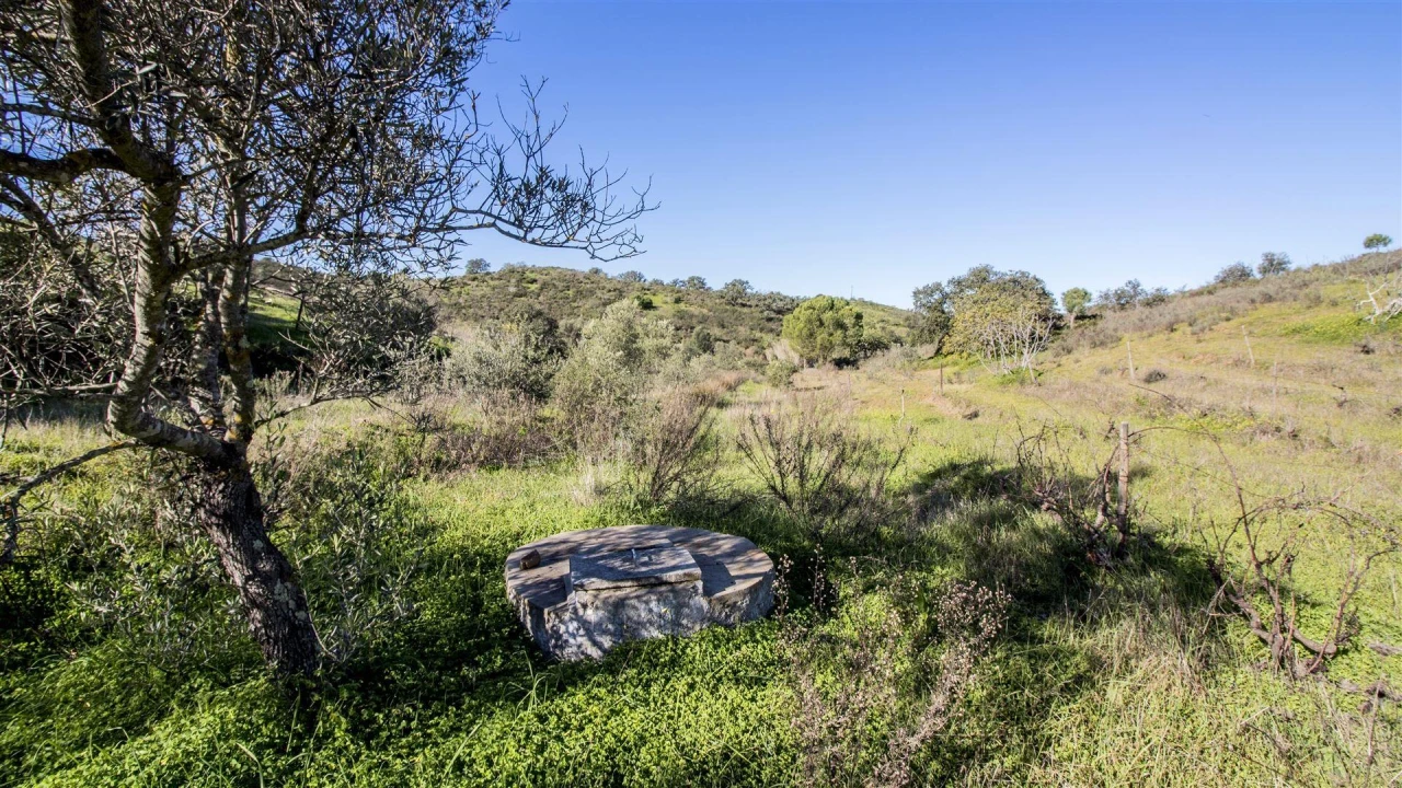Terreno Agricola ou Rústico para Venda em Castro Marim Foto 6