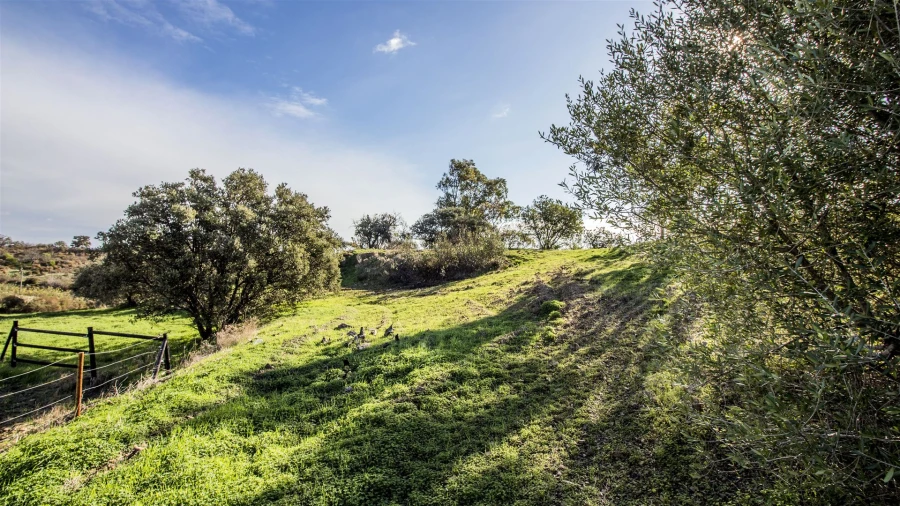 Terreno Agricola ou Rústico para Venda em Vila Nova de Cacela Foto 6