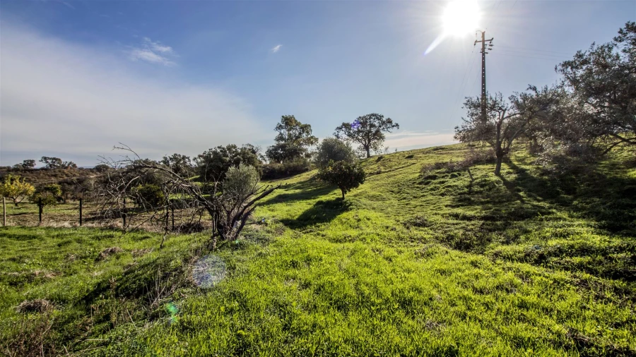 Terreno Agricola ou Rústico para Venda em Vila Nova de Cacela Foto 5