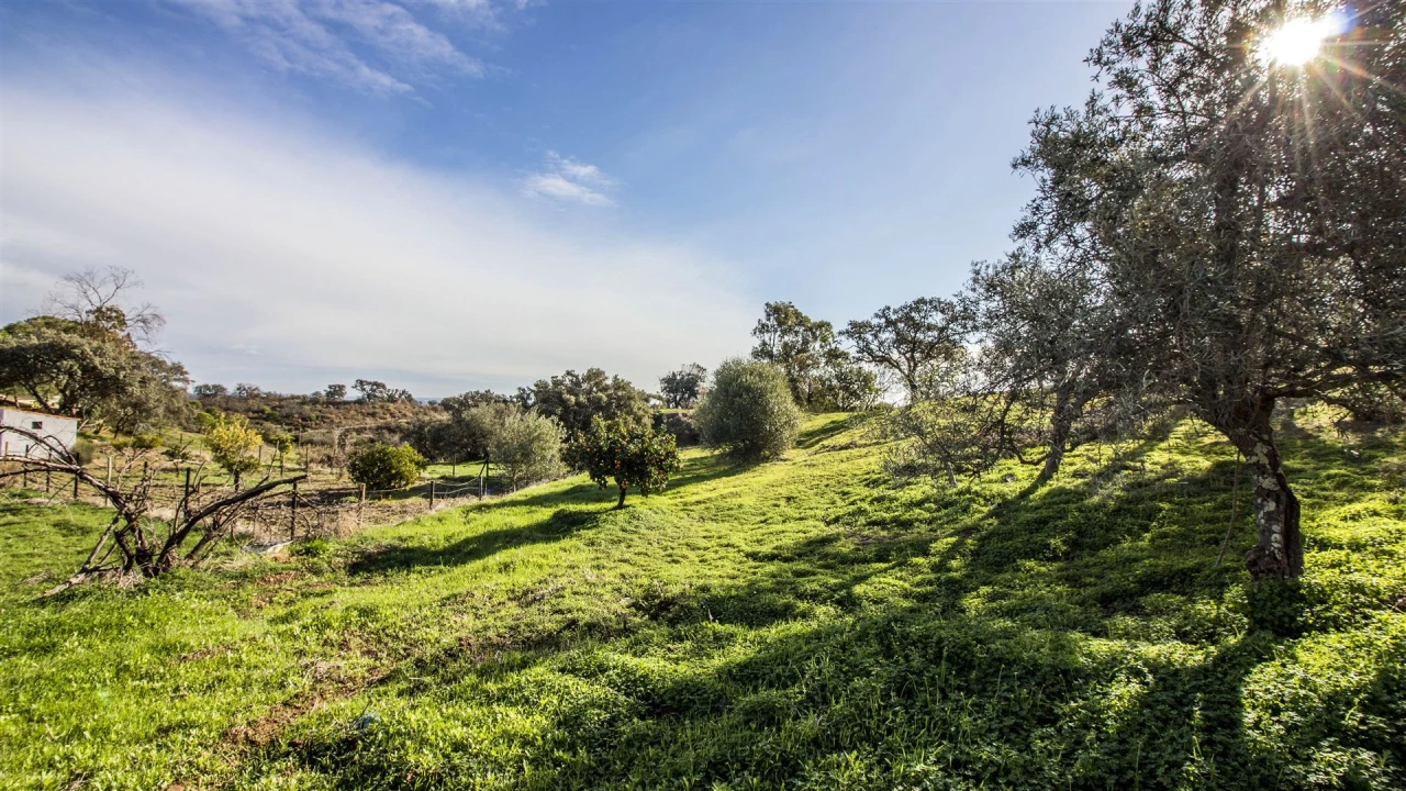 Terreno Agricola ou Rústico para Venda em Vila Nova de Cacela Foto 4