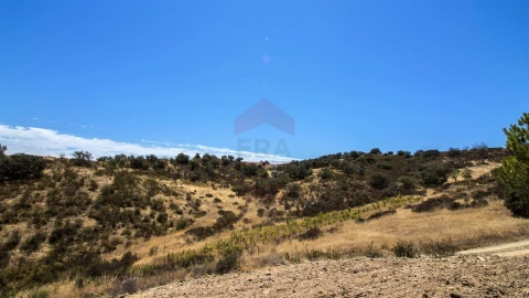 Terreno Agricola ou Rústico para Venda em Castro Marim