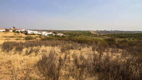 Terreno Agricola ou Rústico para Venda em Azinhal