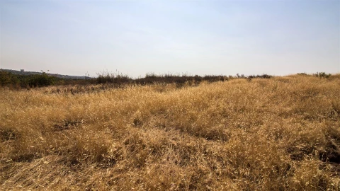 Terreno Agricola ou Rústico para Venda em Azinhal