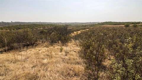 Terreno Agricola ou Rústico para Venda em Azinhal