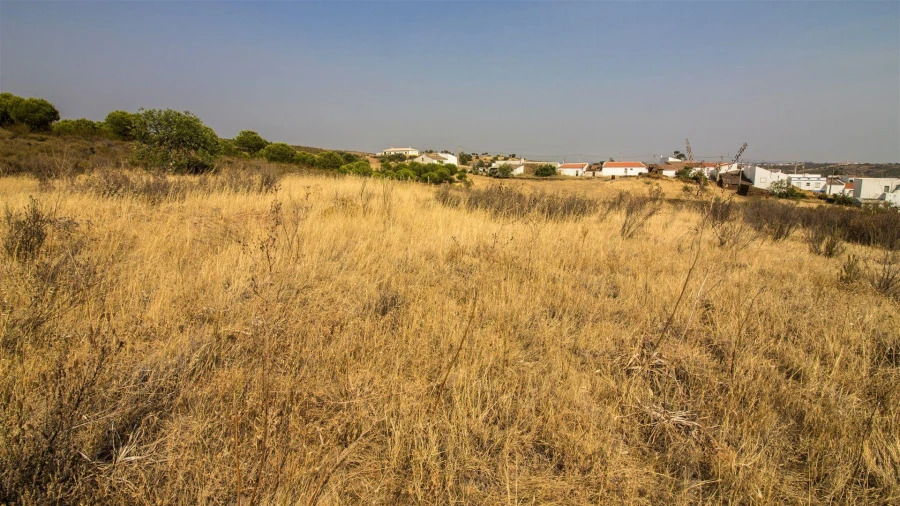 Terreno Agricola ou Rústico para Venda em Azinhal Foto 6
