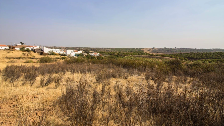 Terreno Agricola ou Rústico para Venda em Azinhal Foto 4