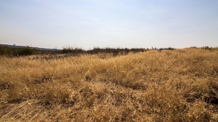 Terreno Agricola ou Rústico para Venda em Azinhal Foto 2